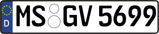 MS-GV5699