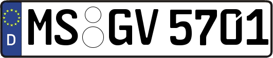 MS-GV5701