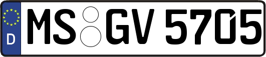 MS-GV5705