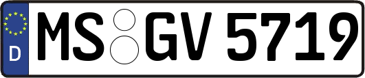 MS-GV5719