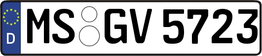MS-GV5723
