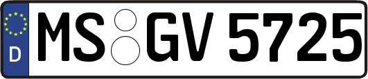 MS-GV5725
