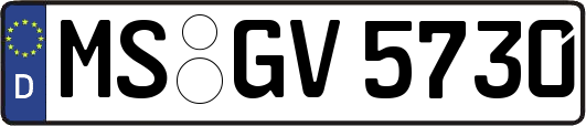MS-GV5730