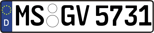 MS-GV5731