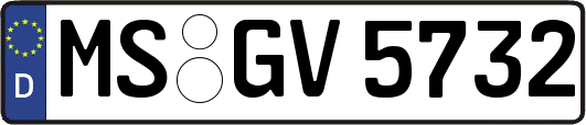 MS-GV5732