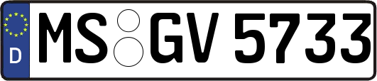 MS-GV5733