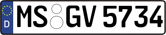 MS-GV5734