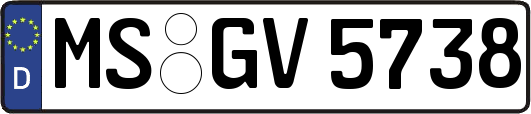 MS-GV5738