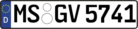MS-GV5741