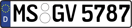MS-GV5787