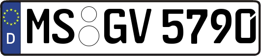 MS-GV5790