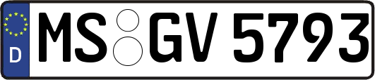 MS-GV5793