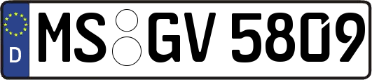 MS-GV5809