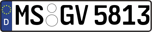 MS-GV5813