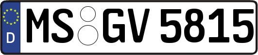 MS-GV5815
