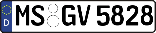 MS-GV5828