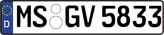 MS-GV5833