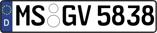 MS-GV5838