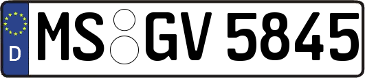 MS-GV5845
