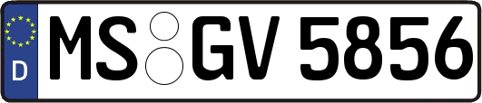 MS-GV5856