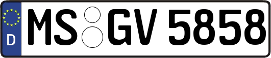 MS-GV5858