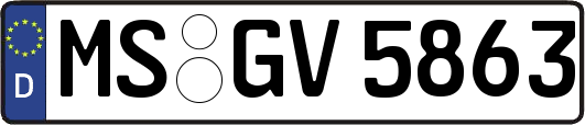 MS-GV5863