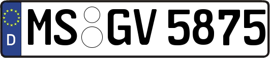 MS-GV5875
