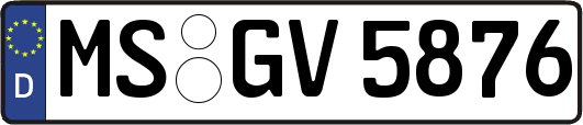 MS-GV5876