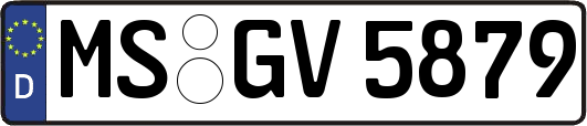 MS-GV5879