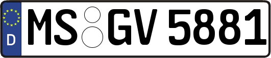 MS-GV5881