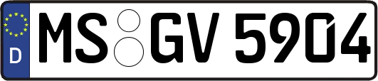 MS-GV5904