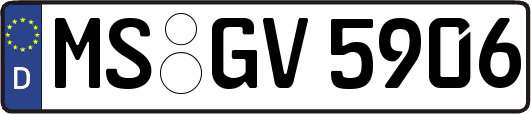 MS-GV5906