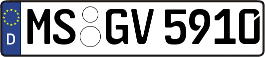 MS-GV5910