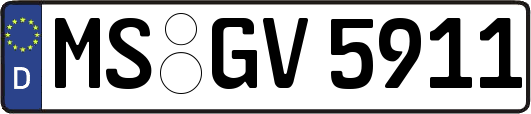 MS-GV5911