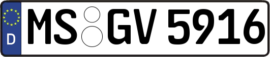 MS-GV5916