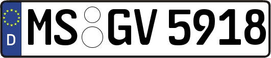 MS-GV5918