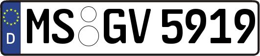 MS-GV5919