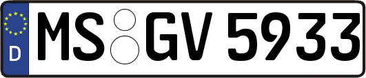 MS-GV5933