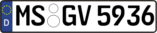 MS-GV5936