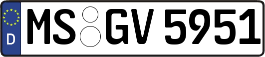 MS-GV5951