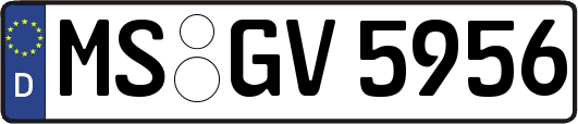 MS-GV5956