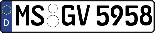 MS-GV5958