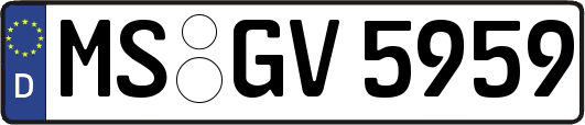 MS-GV5959