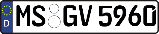 MS-GV5960