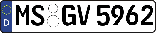 MS-GV5962