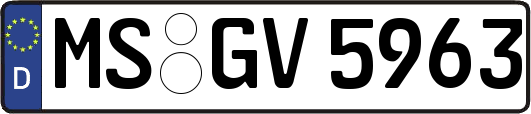 MS-GV5963