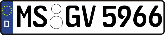 MS-GV5966