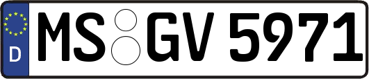MS-GV5971