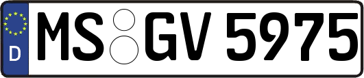 MS-GV5975