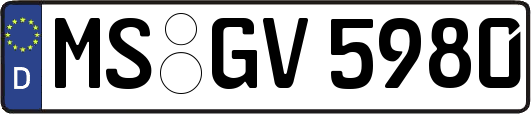 MS-GV5980